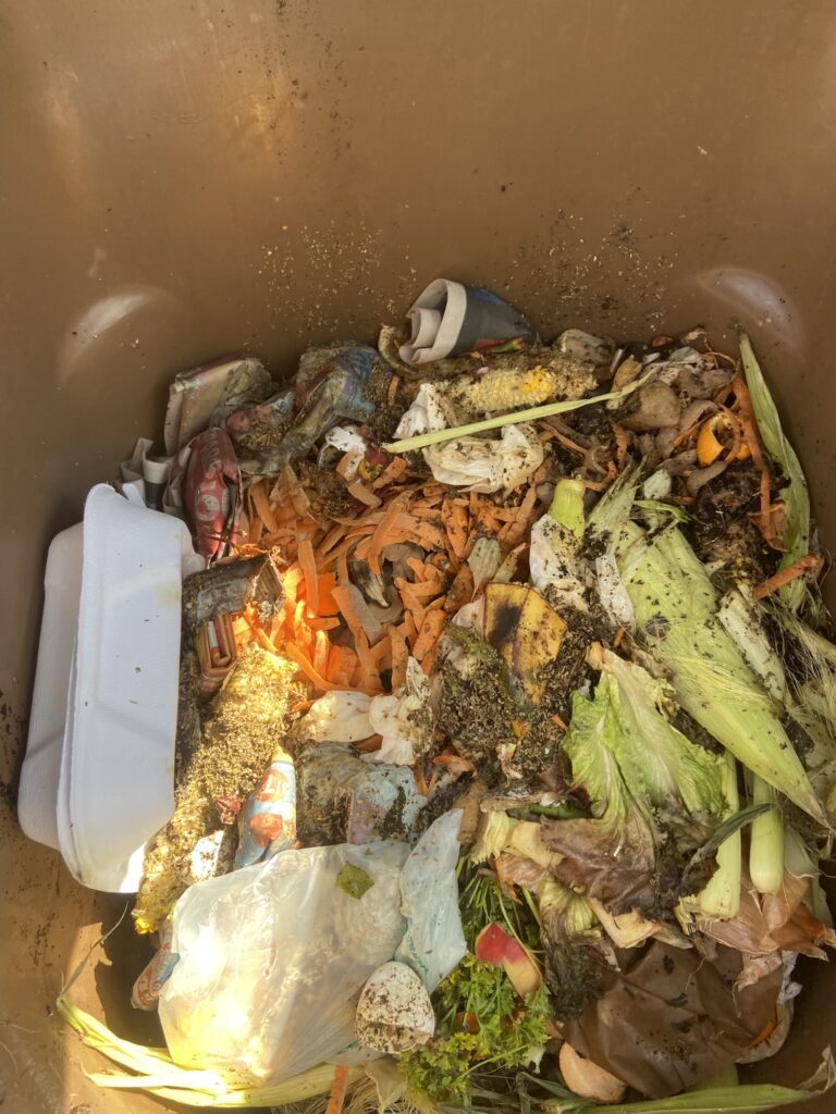 Bac de compost plein qui ne sent pas bon