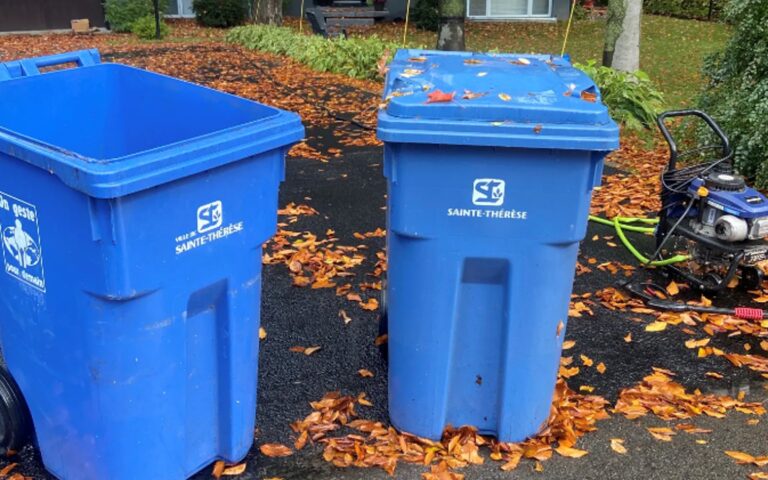 Bacs qui viennent de se faire nettoyer