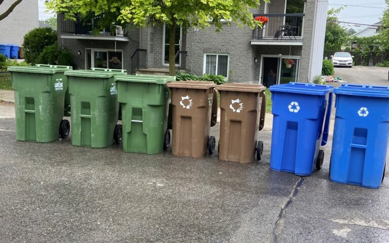 3 bacs de poubelle, 2 bacs de compost et 2 bacs de recyclage nettoyés
